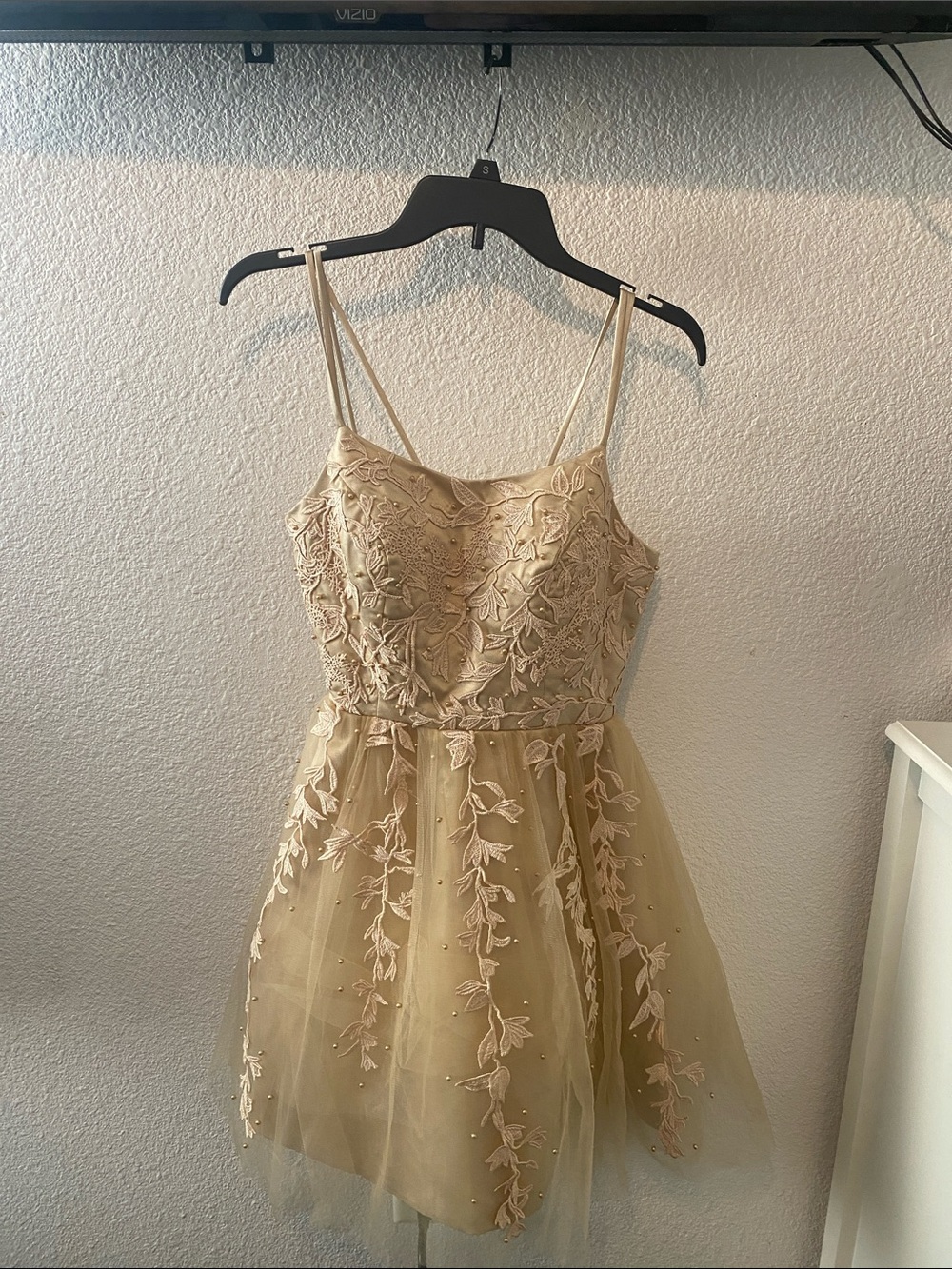 Embroidered Tulle Mini Dress in Champagne